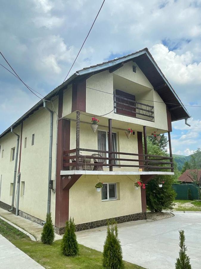 Pensiunea Antonia Corbeni Exterior foto